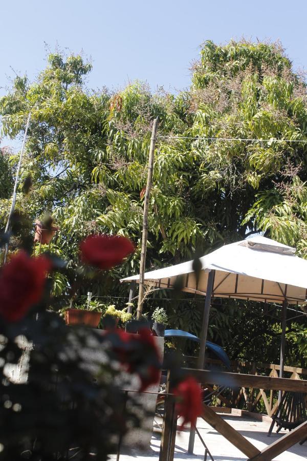 La Casa Del Jardin Bed & Breakfast Tuxtla Gutiérrez Room photo